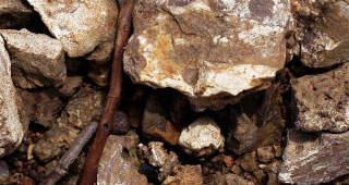 Any kind of unusual and intense adverse effects that you observe need to be mentioned to the physician who prescribed erectafil to you.