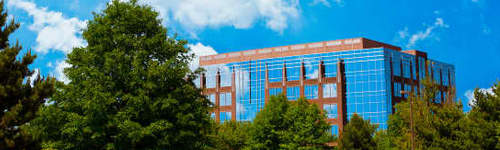 Alternatively, at the very least 7 days must be permitted after quiting erectafil prior to starting an MAOI intended to treat psychological disorders [see Contraindications (4.